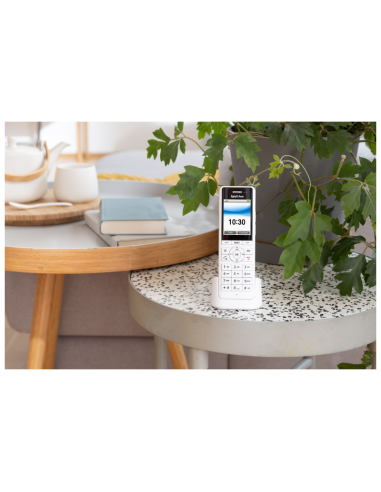 FRITZ!Fon X6 DECT handset (Wit)