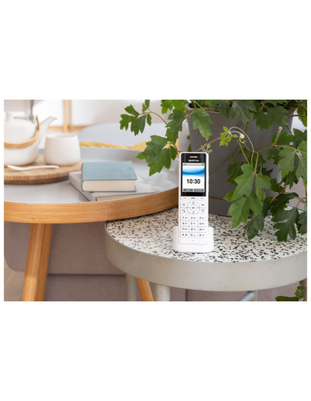 FRITZ!Fon X6 DECT handset (Wit)
